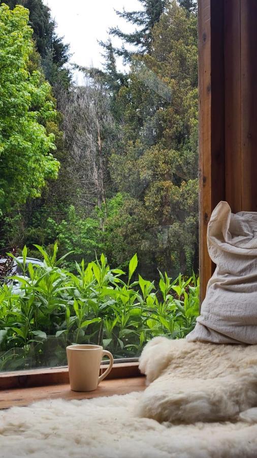 Luna Roja Llao Llao Holiday home *
